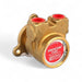 Procon 104E165F11XX Bolt On Brass Rotary Vane Pump 165 GPH, 250PSI SERIES 4 - Brass Pumps Procon 
