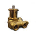 Procon 141A100F11AA 250 Brass Rotary Vane Pump, 3/8" NPTF, 100 GPH SERIES 1 - Brass Pumps Procon 