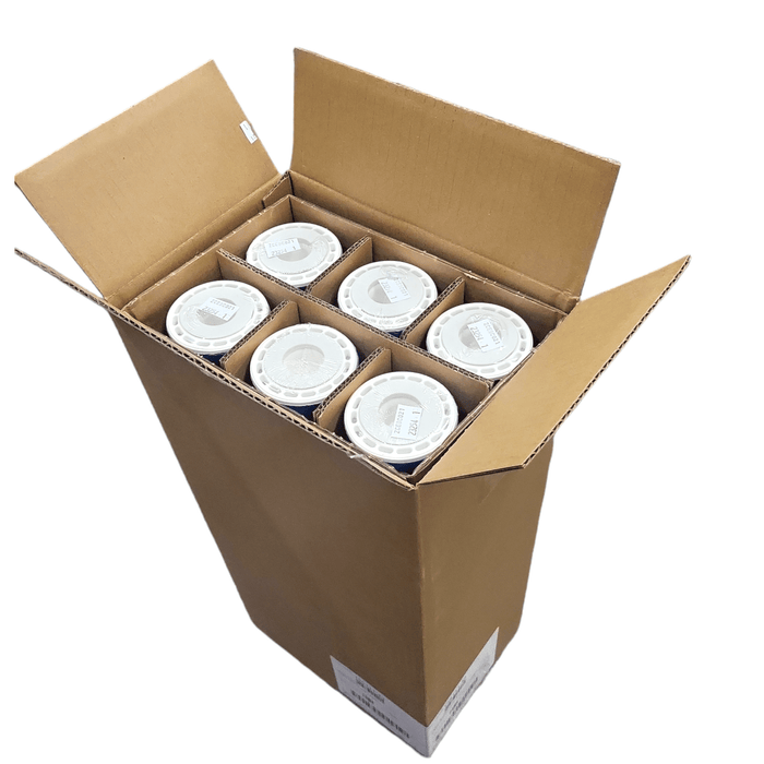 Pentek GAC-20 Coconut Granular Activated Carbon Filter 2.5'' x 20'' (155111-43) GAC Series/20"x2.5" Granular Carbon Pentek By Pentair 6 Pack 