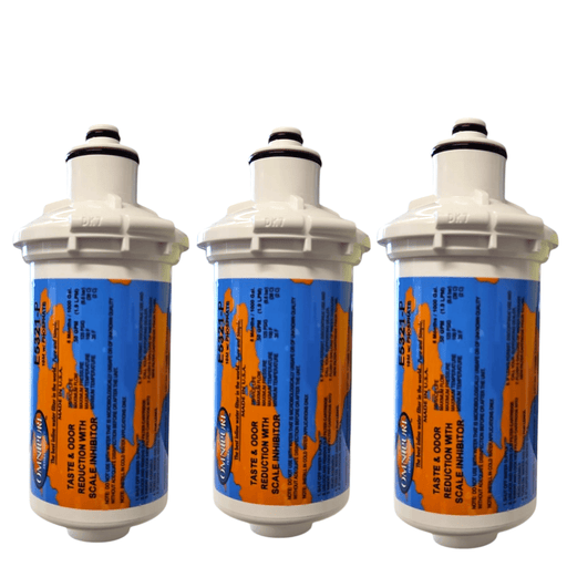 Omnipure E5321-P 6"x2.5" E-Series 10Mic Carbon Block Phosphate Scale Inhibitor Filter Carbon + Phosphate|Chlorine & Scale Inhibitor 6" Omnipure 3 Pack