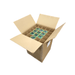 Filtrex FX20CL2 10M CL2 Series Green Block 20"x2.5" Carbon Block Chlorine Filter Green Carbon Filter | 2.5"x 20" Filtrex 10 Pack 