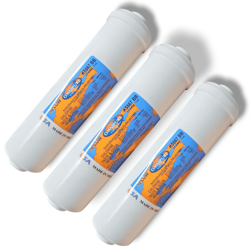 Omnipure K5567-BB Inline Water Filter KDF/GAC 1/4"NPT KDF+GAC|Chlorine Bacteria Removal|1/4"FPT Omnipure 3 Pack 